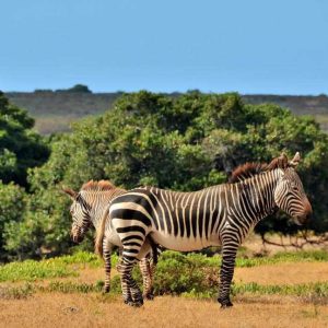 De Hoop National Park