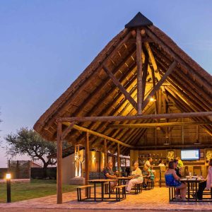 Desert Camp, Bar