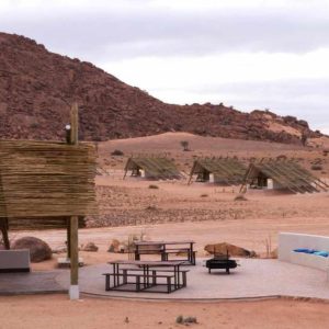 Desert Quiver Camp