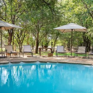 Pool Mashatu Tented Camp
