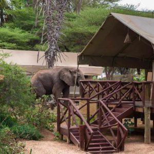 Elephant Bedroom Camp
