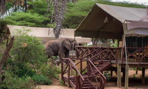 Elephant Bedroom Camp