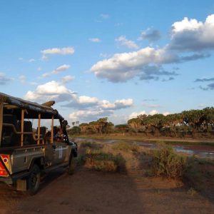 Elephant Bedroom Camp