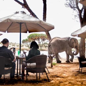 Elephant Bedroom Camp