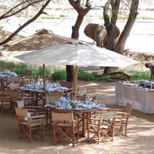 Elephant Bedroom Camp