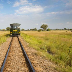 Elephant Express