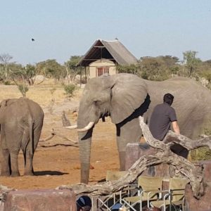 Elephant Sands Lodge