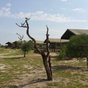 Elephant Sands Lodge