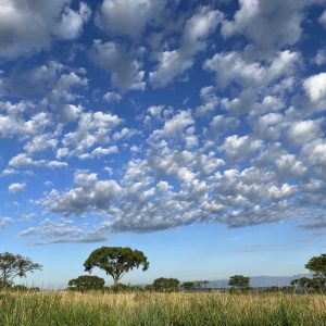 Enjojo Lodge Pirschfahrt