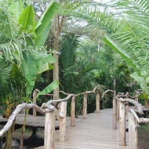 Enjojo Lodge, Pfad zu den Unterkünften