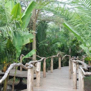 Enjojo Lodge, Pfad zu den Unterkünften