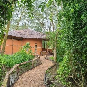 Enjojo Lodge, Forest Cottage