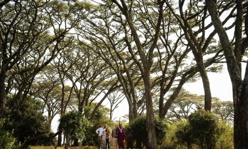 Entamatu Private, Lage unter Akazienbäumen