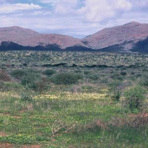 Etango Ranch