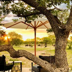 Etosha Oberland Lodge Garten