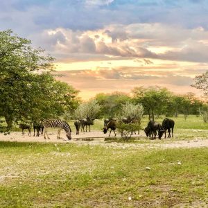 Etosha Oberland Lodge Wasserloch
