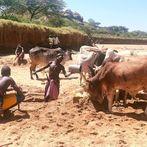 Ewaso Camp, Einsicht in Masai Traditionen