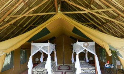 Flamingo Hill Camp, Zimmer