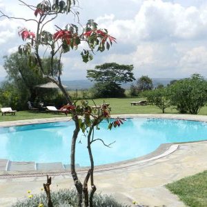Flamingo Hill Camp, Pool