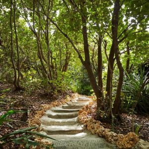 Fundu Lagoon, Wege führen durch einen Pfad im Wald zu den Unterkünften