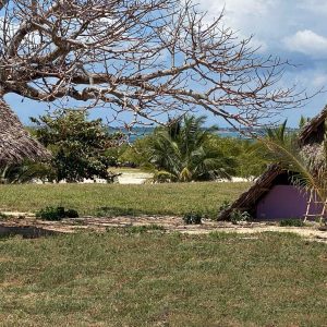 Funzi Keys Garten
