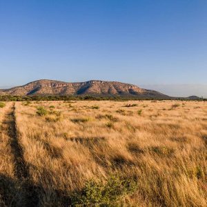 Gabus Game Ranch