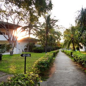 Gecko Resort_13