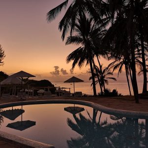 Gecko Resort_14