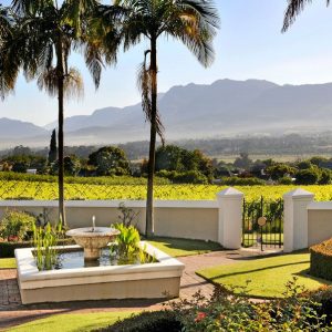 Luxus Safari im Westkap