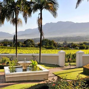 Luxus Safari im Westkap