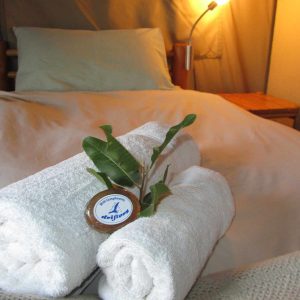 Greenfire Bush Lodge