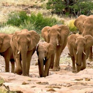 Namibias Norden und Caprivi Streifen, schöne Grootberg Lodge