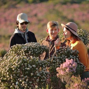 Grootbos Forest Lodge, traumhafte Fynbos Vegetation