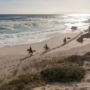 Grootbos Forest Lodge_Reiten im Morgenlicht