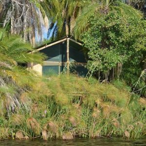 Guma Lagoon Camp Tropische Vegetation