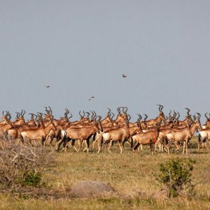 Gwe Gwe Lodge