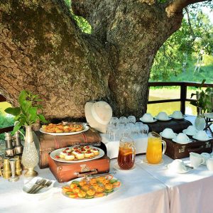 Hamilton's Tented Camp High Tea