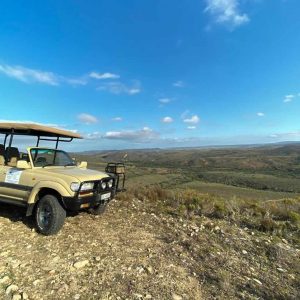 Hartenbos Game Reserve Landschaft