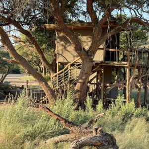 Hobatere Lodge Baumhaus