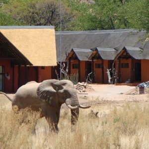 Hobatere Lodge_20