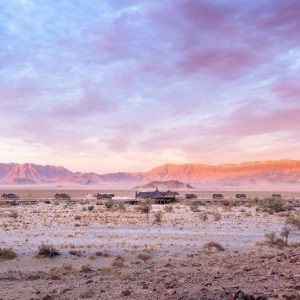 Hoodia Desert Lodge