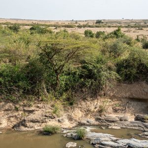 Ilkeliani, Aussicht auf die Masai Mara