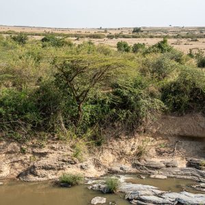 Ilkeliani, Aussicht auf die Masai Mara