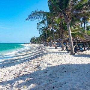 Indian Ocean Beach Resort