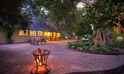 Island Safari Lodge, schöner Garten