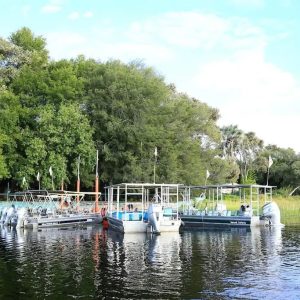 Island Safari Lodge, Bootsfahrten