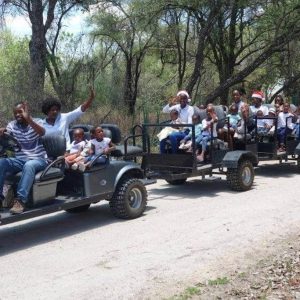 Island Safari Lodge Go Cart Fahrten