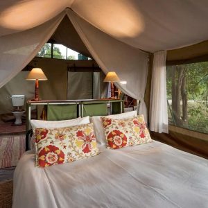 John's Camp