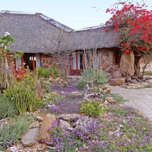 Kalahari Bush Breaks