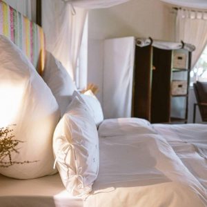 Kambaku Safari Lodge